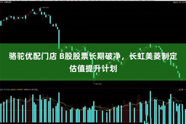 骆驼优配门店 B股股票长期破净，长虹美菱制定估值提升计划