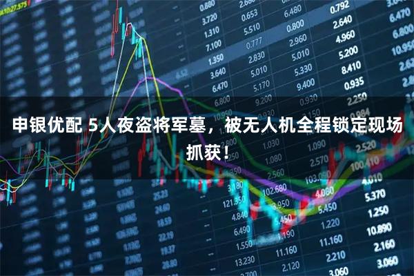 申银优配 5人夜盗将军墓，被无人机全程锁定现场抓获！
